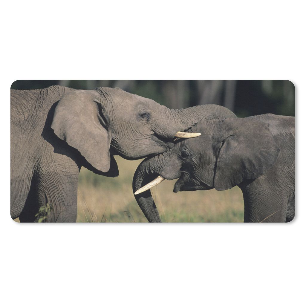 MuchoWow Mauspad Mousepad Elefant - Tiere - Grau - Natur 60x30 cm - Mousepads - Maus Mat - Pad - Mausunterlage - Nachhaltig