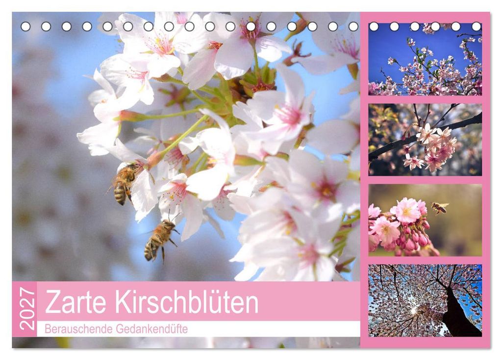 Zarte Kirschblüten - Berauschende Gedankendüfte (Tischkalender 2027 DIN A5 quer), CALVENDO Monatskalender