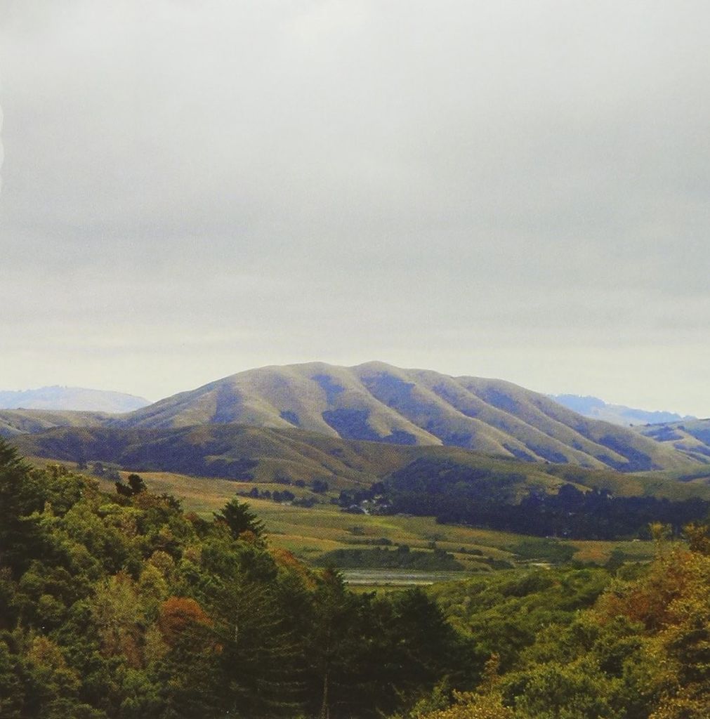 Dirty Projectors And Björk - Mount Wittenburg Orca
