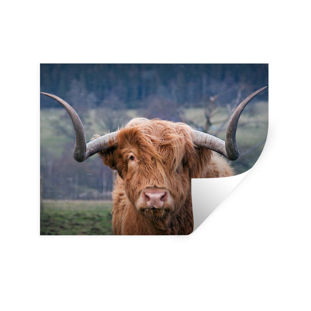 MuchoWow Wandtattoo Wandsticker Wandaufkleber Schottischer Highlander - Hörner - Berg 160x120 cm Selbstklebend und Repositionierbar - Selbstkleb...