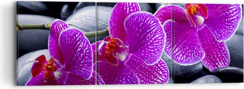 Bild auf Leinwand - Leinwandbild - Blumen Steine Violett Aromatherapie - 90x30cm - Wand Bild - Wanddeko - Leinwanddruck - Bilder - Kunstdruck - Lei...