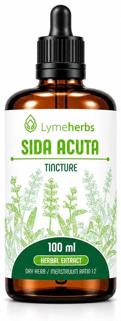 Sida Acuta Tintura 1:2 (100ml) Immagine del prodotto 