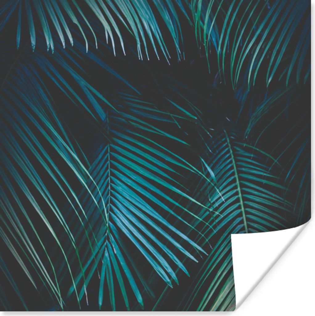MuchoWow Poster Palme - Palmenbaum - Tropisch 50x50 cm - Wohnzimmerdekoration