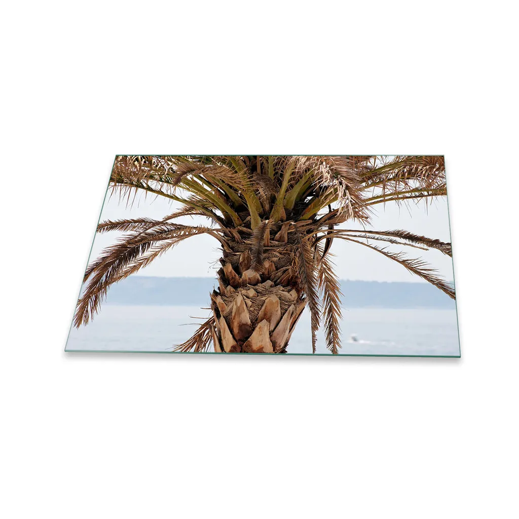 Piastra Copripiano Cottura In Vetro Decorwelt - 80x52 Cm - Turchese - Multiuso: Tagliere, Piatto, Paraschizzi, Sottopentola - 4
