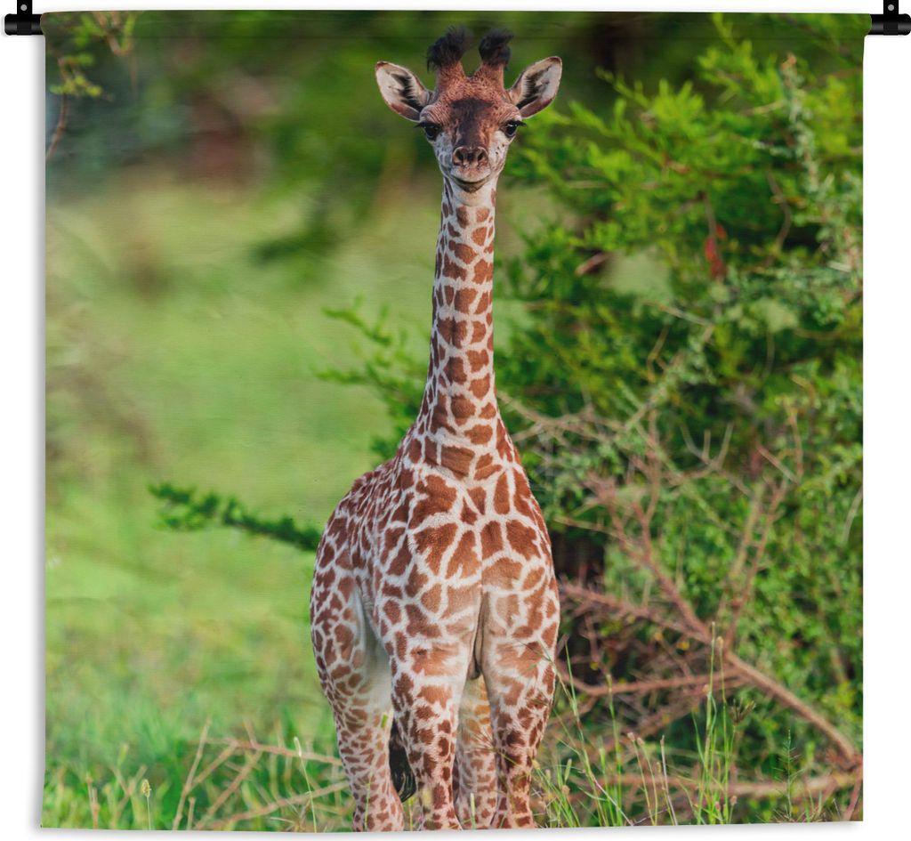 MuchoWow Wandteppich Wandbehang Baby - Giraffe - Pflanzen 150x150 cm Tapisserie Dekoration Wandtuch - Wohnaccessoires - Modernes