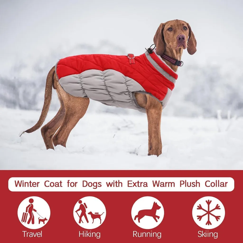 Offerta Cappotto Cane Impermeabile Rosso - Lavabile e Resistente - 4