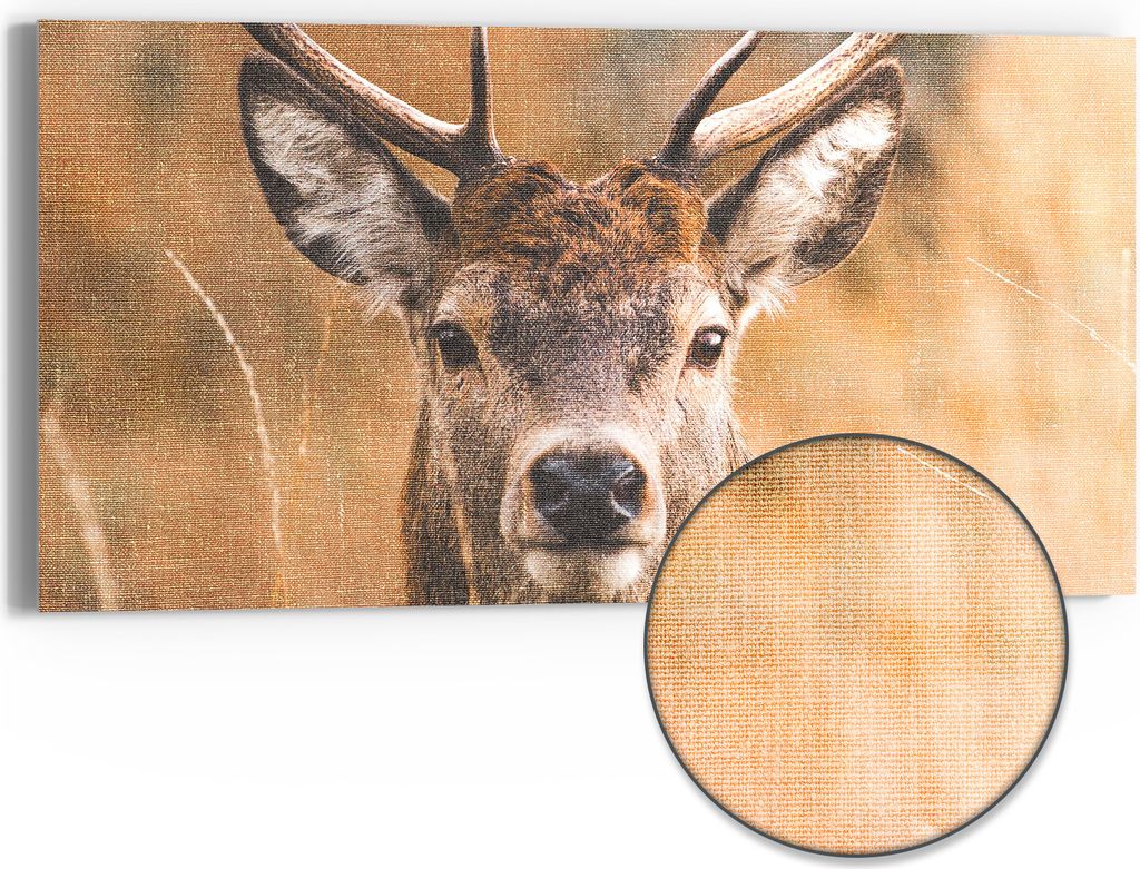 DEQORI Hybrid Leinwand Bild 60x30 cm 'Wächter des Waldes' Wandbild Glas flach modern