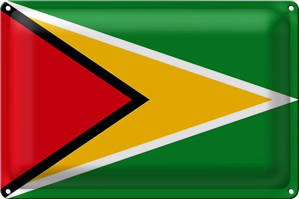 Blechschild Flagge Guyana 30x20cm Flag of Guyana