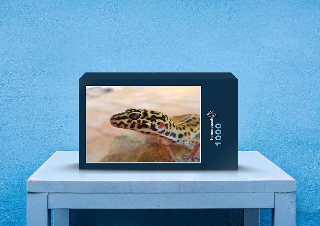 hansepuzzle 74430 - Gecko Puzzle, 1000 Teile, Tierwelt, 60,0 x 46,0cm mit hochwertiger Aufbewahrung, Kartonbox und wiederverschließbarem Beutel