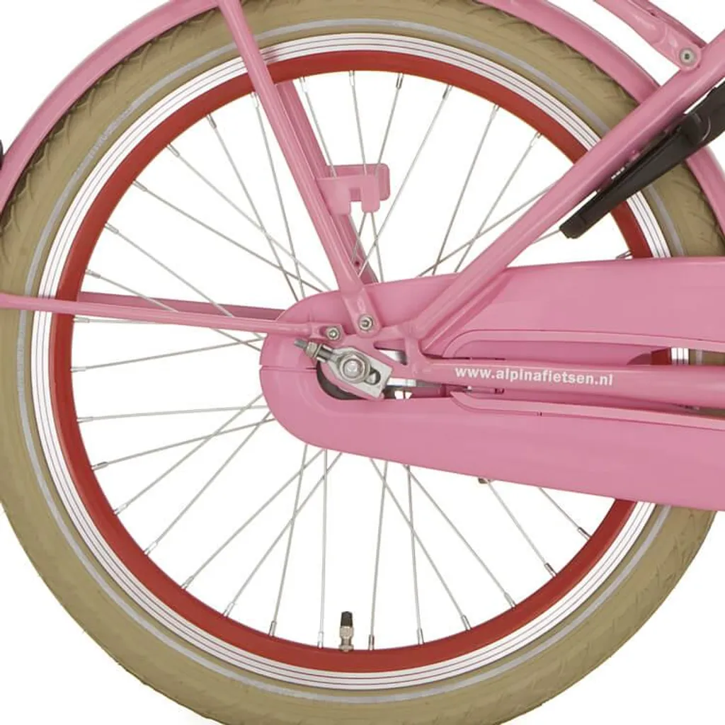 Roue arrière Alpina 20 pouces J19SG rouge avec rayons en zinc résistant