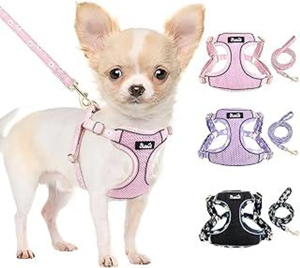 Pettorina Cane Piccola Taglia Rosa XXS Step-in con Guinzaglio Riflettente