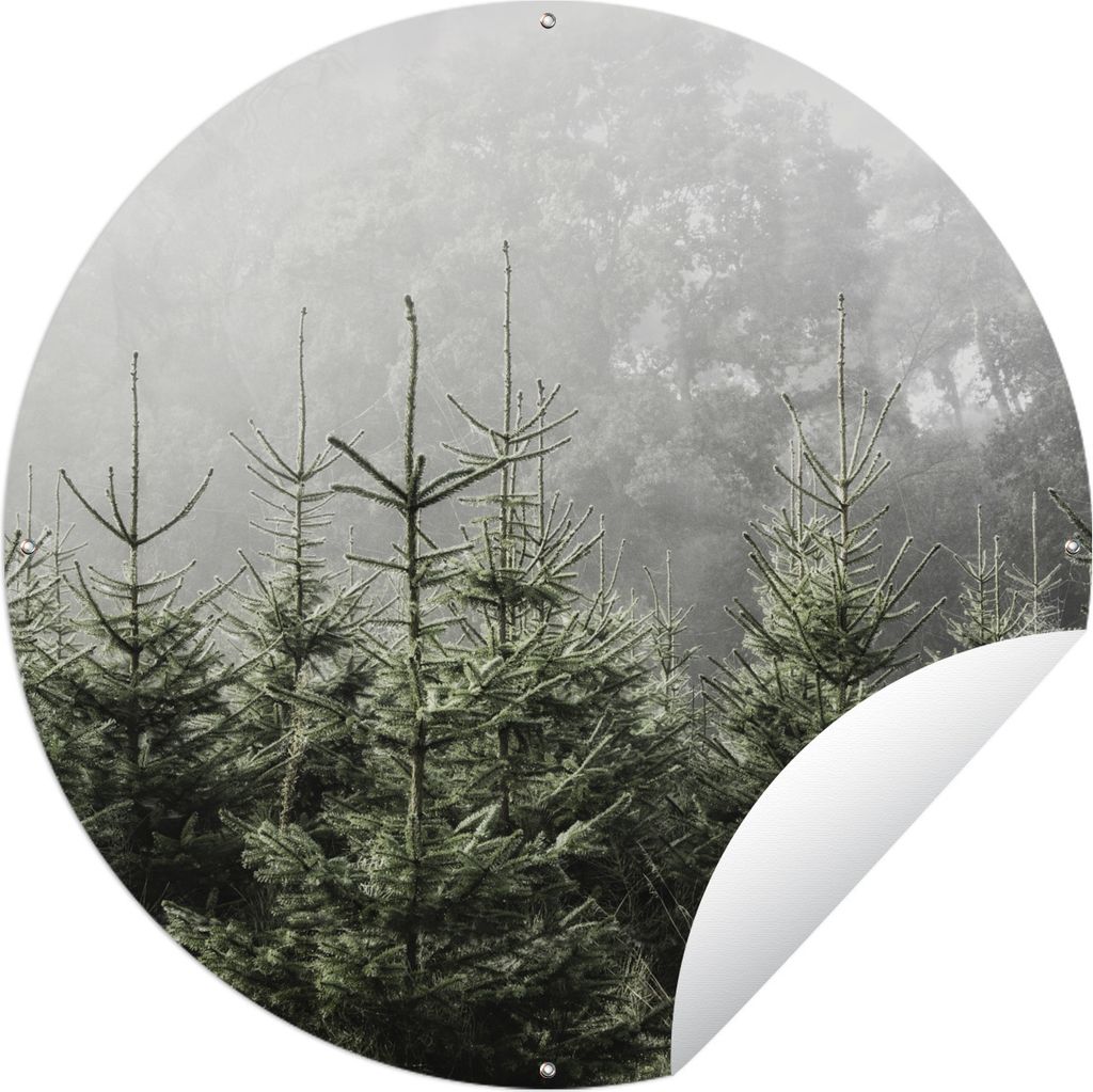 MuchoWow Gartenposter Outdoor-Poster Rund Nebel um einige Kiefern Ø 60 cm Gartendeko Rundes Poster draußen