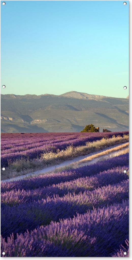 MuchoWow 80x160 cm Outdoor-Poster Gartendeko Sichtschutz Garten Poster für den Garten Blühende Lavendelfelder auf der Hochebene von Valensole ...