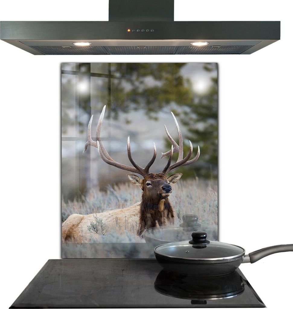 Spritzschutz aus Glas Küchenrückwand - Wandschutz für Herd und Spüle - 60x80 cm - Hirsche Wildtiere