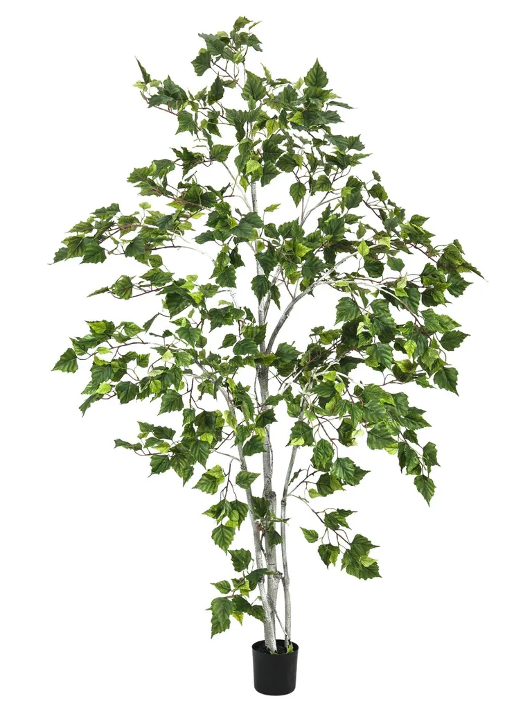EUROPALMS Bouleau Artificiel 180cm - Arbre Factice Décoratif Premium
