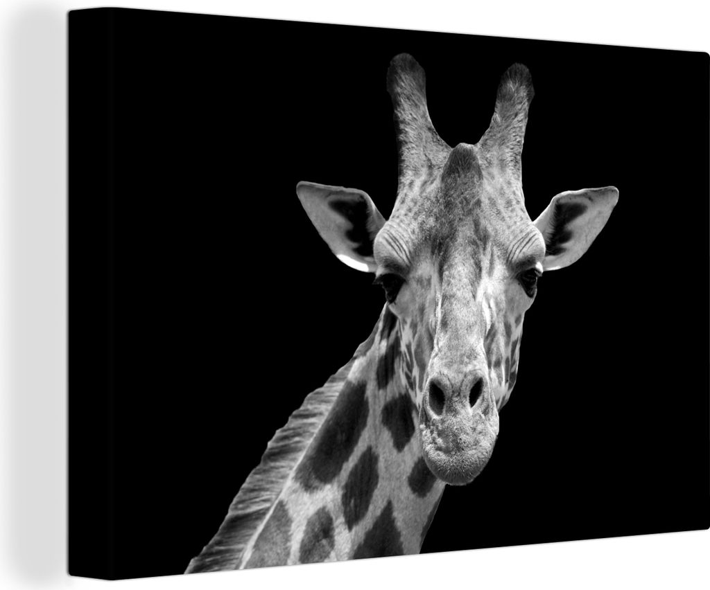 OneMillionCanvasses - Leinwandbilder - 140x90 cm, Giraffe - Wildtiere - Schwarz - Weiß - Porträt, Wandbilder Kunstdruck Wanddekoration - Foto a...