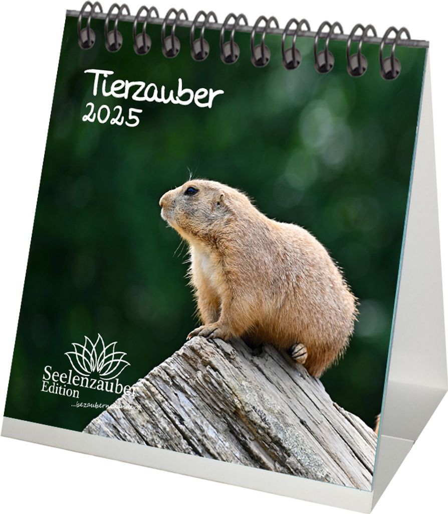 Tierzauber Kalender für 2025 Format 10cm x 10cm verschiedene Tiere - Seelenzauber
