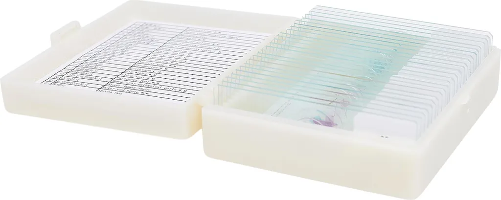 Coffret d'échantillons de microscopie (25 lames) - Tissus biologiques