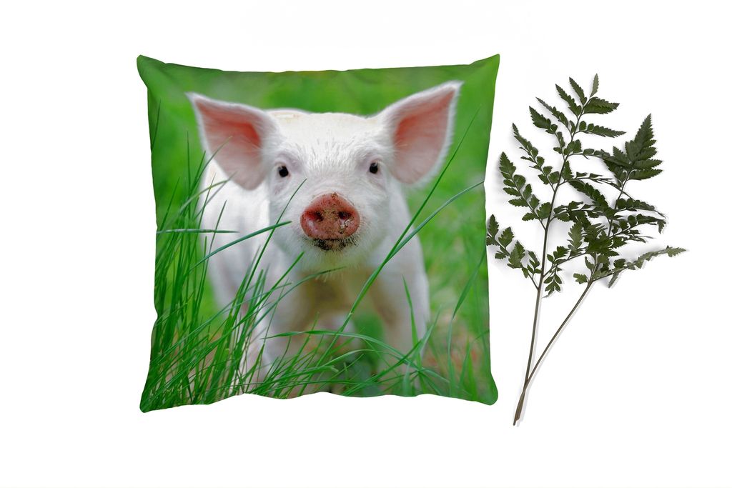 MuchoWow Zierkissen Sofakissen Wohnzimmer Dekokissen 50x50 cm Schwein - Tiere - Groß - Komfort - Sofakissen