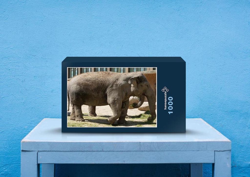 hansepuzzle 87191 - Elefant Puzzle, 1000 Teile, Tierwelt, 60,0 x 46,0cm mit hochwertiger Aufbewahrung, Kartonbox und wiederverschließbarem Beutel