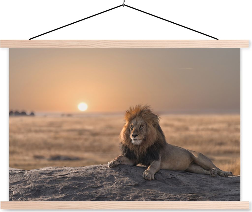 MuchoWow Textilposter Löwe - Sonne - Afrika 120x80 cm mit holzfarbenen Rahmen - Aufhängeset
