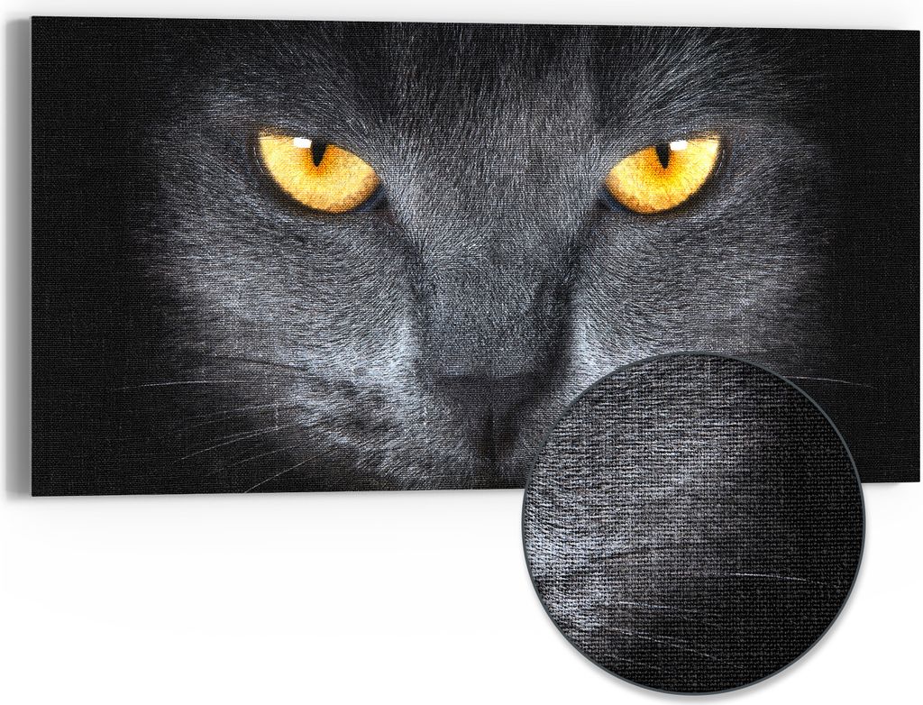 DEQORI Hybrid Leinwand Bild 60x30 cm 'Magische Katzenaugen' Wandbild Glas flach modern