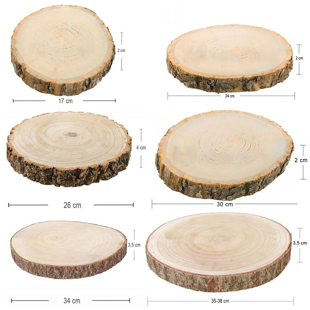 Baumscheiben-Set Holzscheiben 6 verschiedene Größen 17-38 cm Deko, 6 Stück