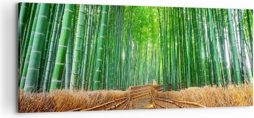 Bild auf Leinwand - Leinwandbild - Bambus Pflanze - 100x40cm - Wand Bild - Wanddeko - Wandbilder - Leinwanddruck - Bilder - Kunstdruck - Wanddekora...