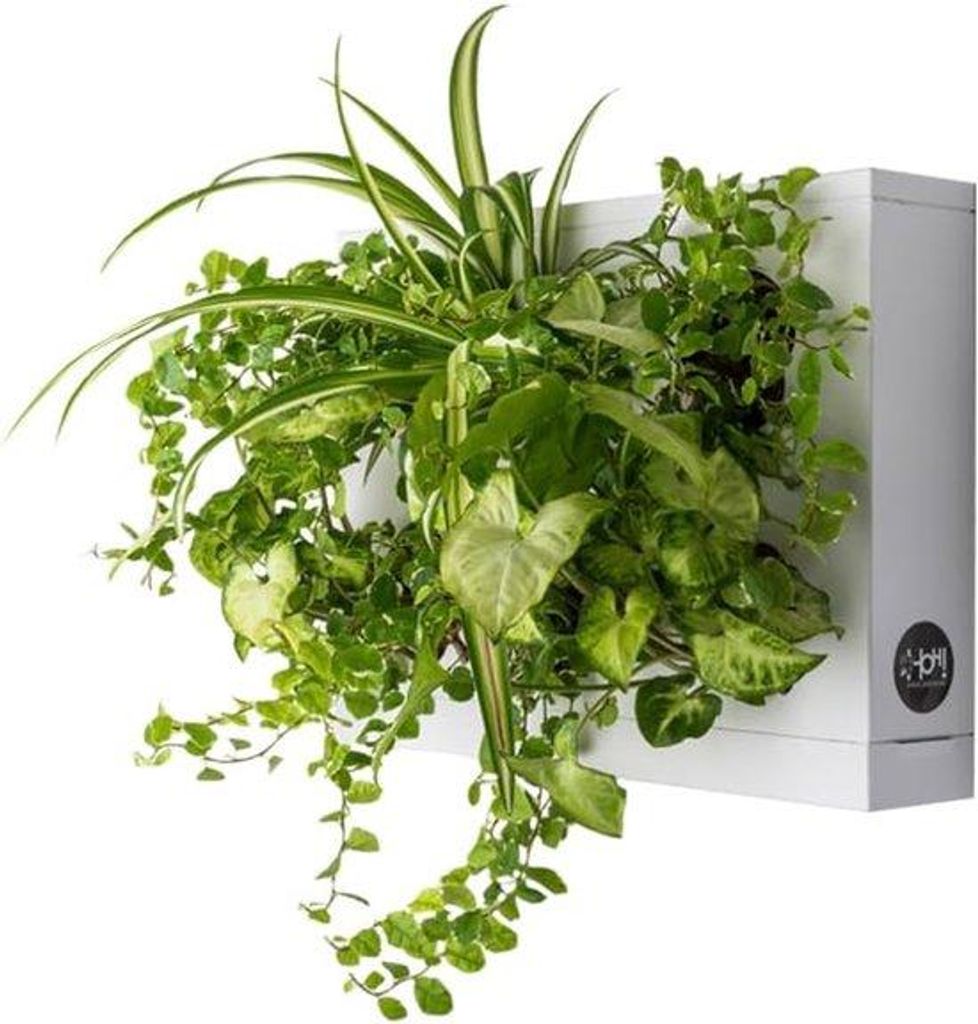 Vertikale Wandplanter weiß für Pflanzen
