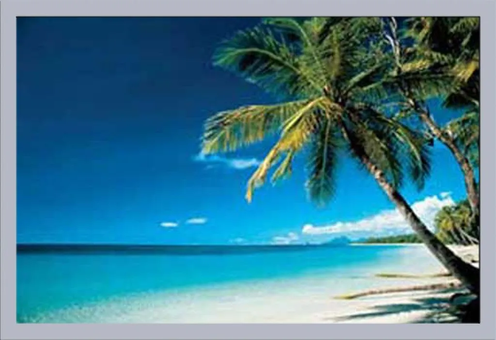 Quadro da Parete Mare Spiaggia Mattina Shinsuke® Argento 61x91,5