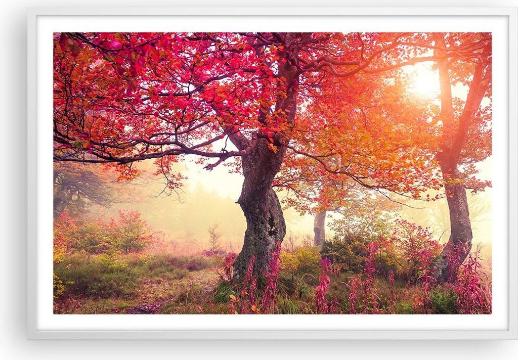 Gerahmtes Poster - Weißer Rahmen - Baum Natur Wiese - 91,5x61 cm - Wand Bild - Wanddeko - Wandbilder - Kunstposter - Wandposter - Bilderrahmen - B...