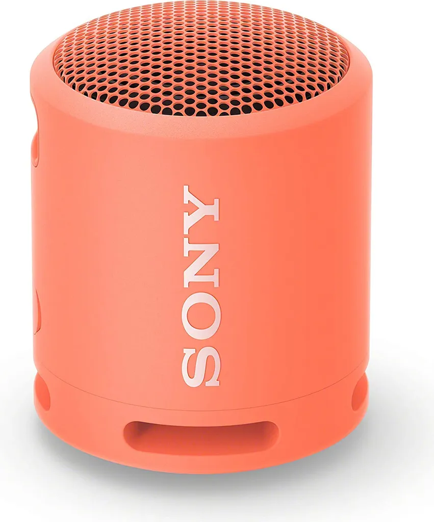 Enceinte portable antichoc et sans fil Sony SRS-XB13 puissante