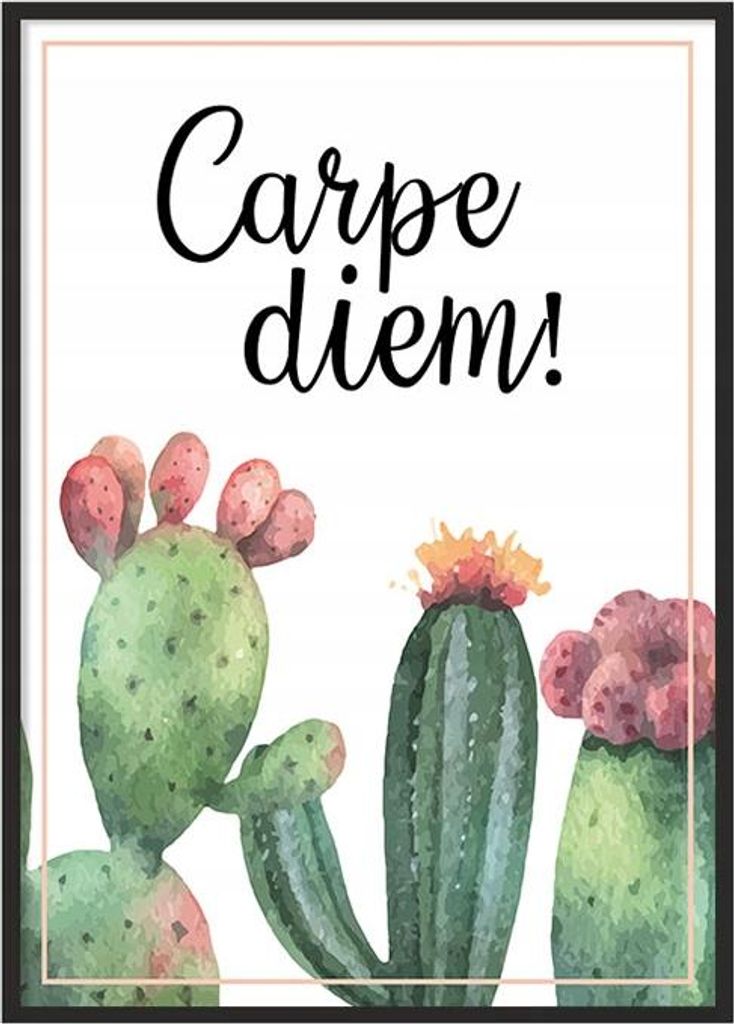 Bildplakat im Rahmen 43x33 cm Kaktus P720