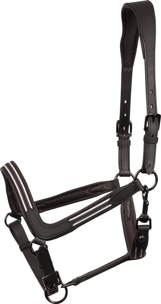 Licol Harrys Horse Flash Cuir Noir Rembourré Taille Cob Confortable