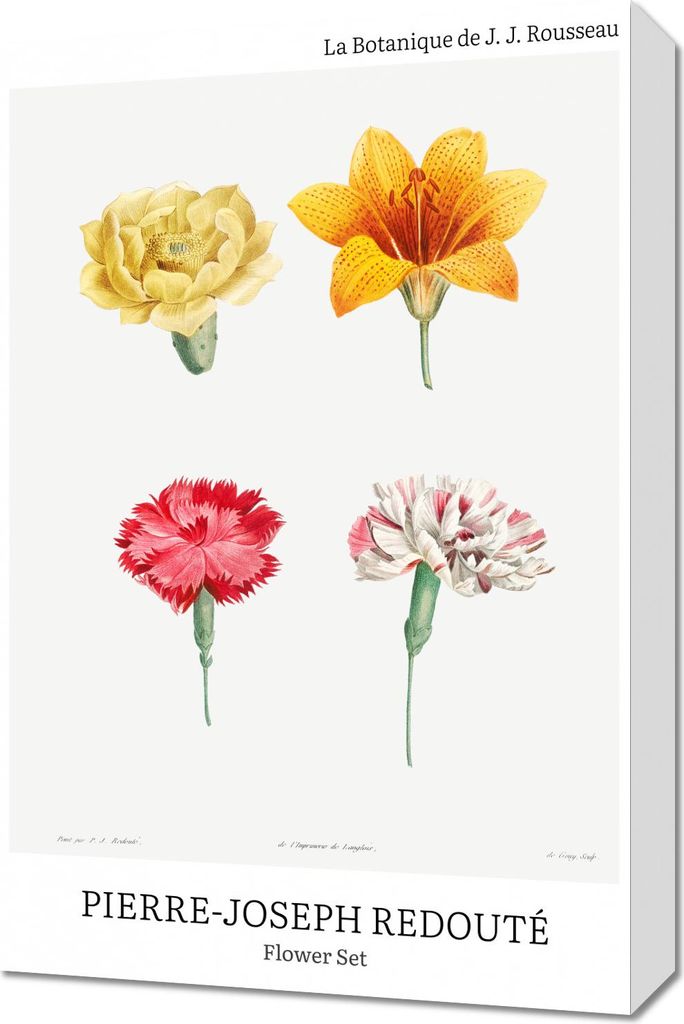 Bild 40x60cm Design Flower Set, Redoute Vintage für das Wohnzimmer