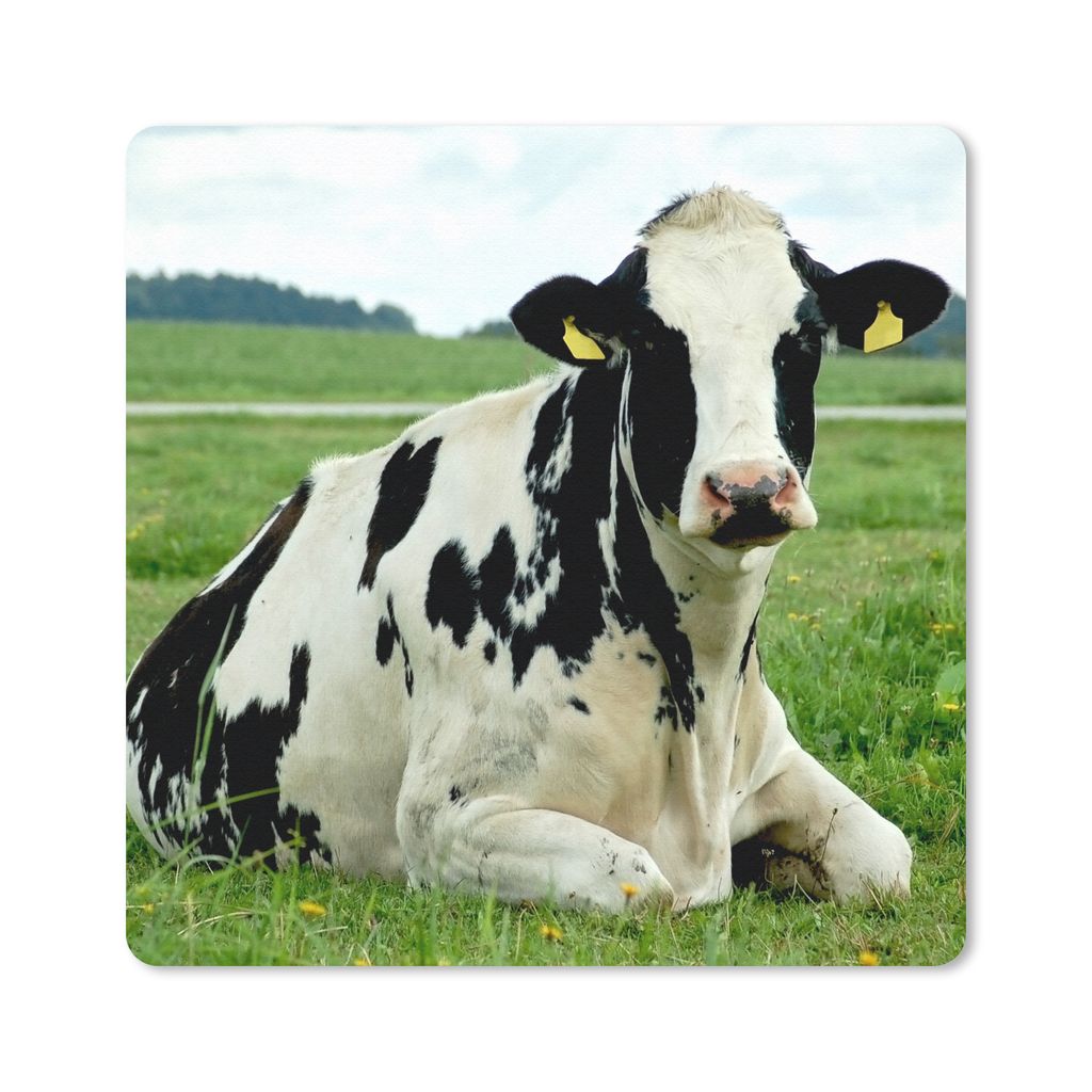 MuchoWow Mauspad Mousepad Kuh - Gras - Tiere - Berg 30x30 cm - Mousepads - Maus Mat - Pad - Mausunterlage - Gaming