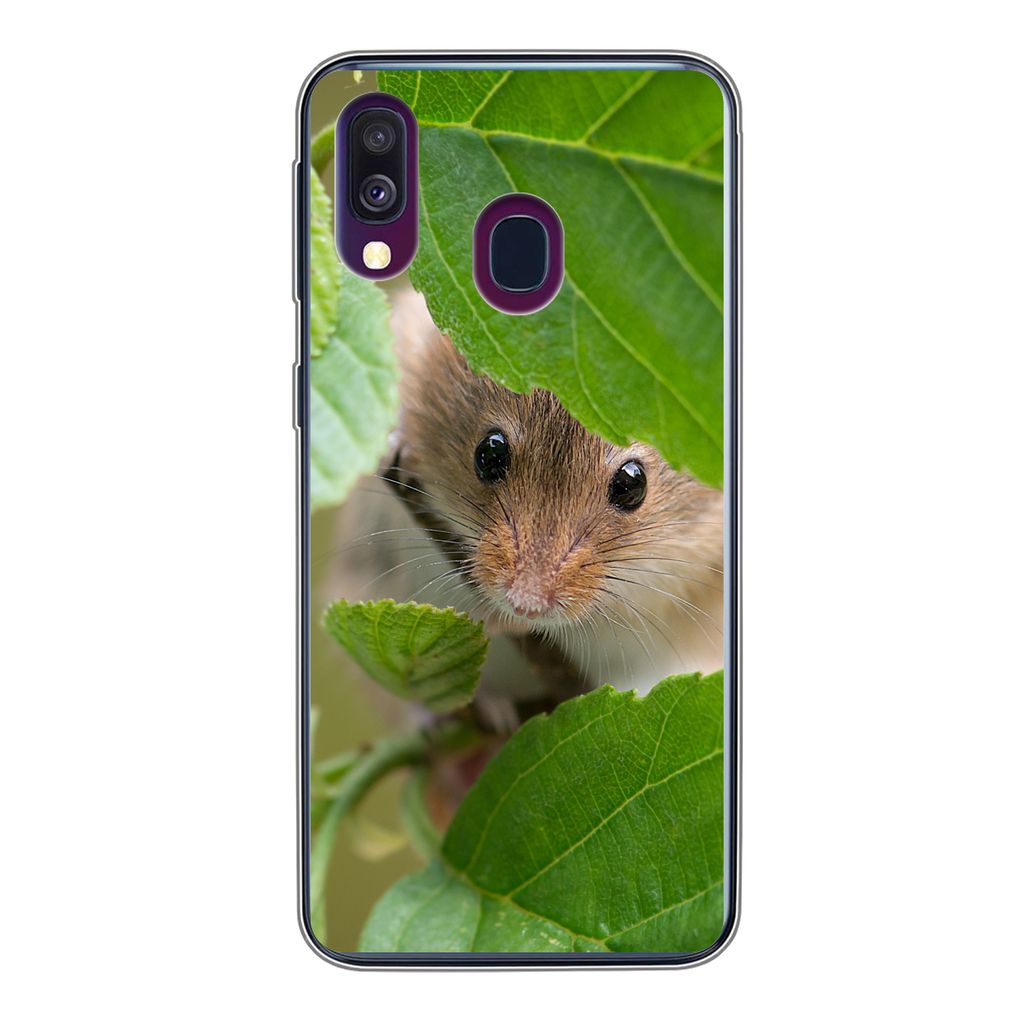 MuchoWow Handyhülle Schutzhülle Hülle für Samsung Galaxy A40 Zwergmaus - Jungtiere - Blätter Silikon Softcase Handy Hülle - Handy-Tasche