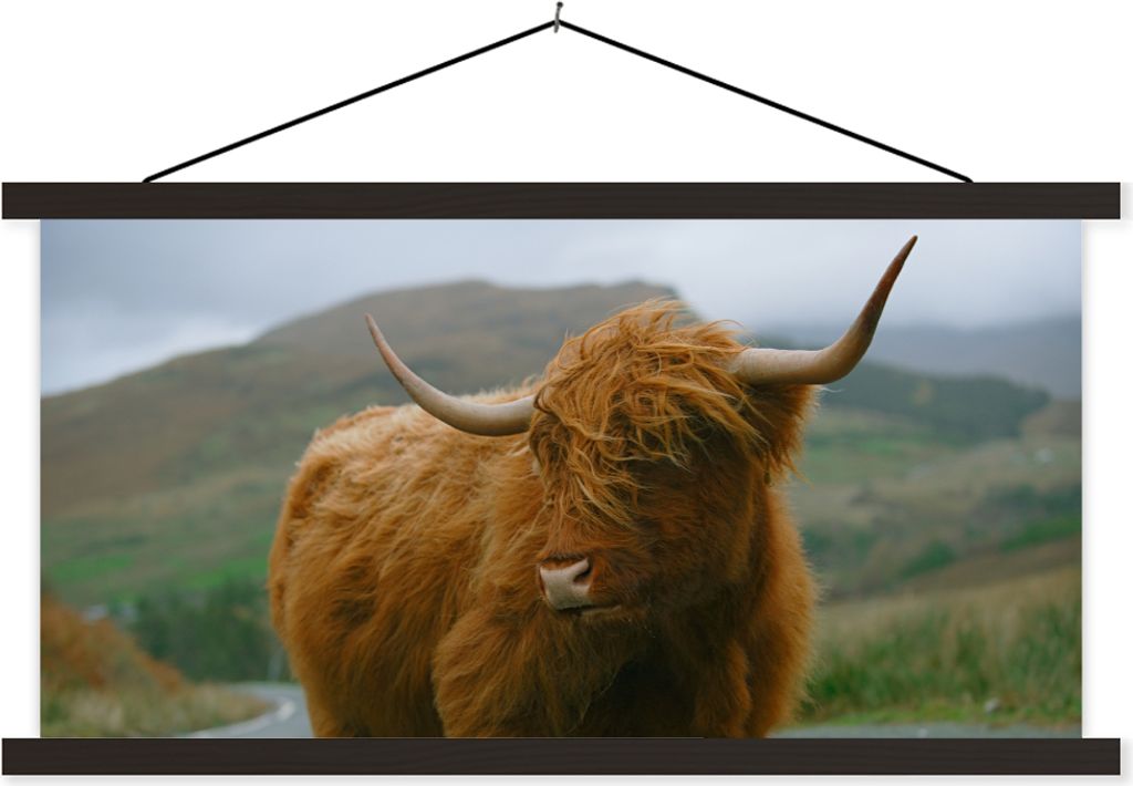 MuchoWow Textilposter Schottisches Hochlandrind - Berg - Straße 120x60 cm mit schwarzem Rahmen - Dekoration Schlafzimmer