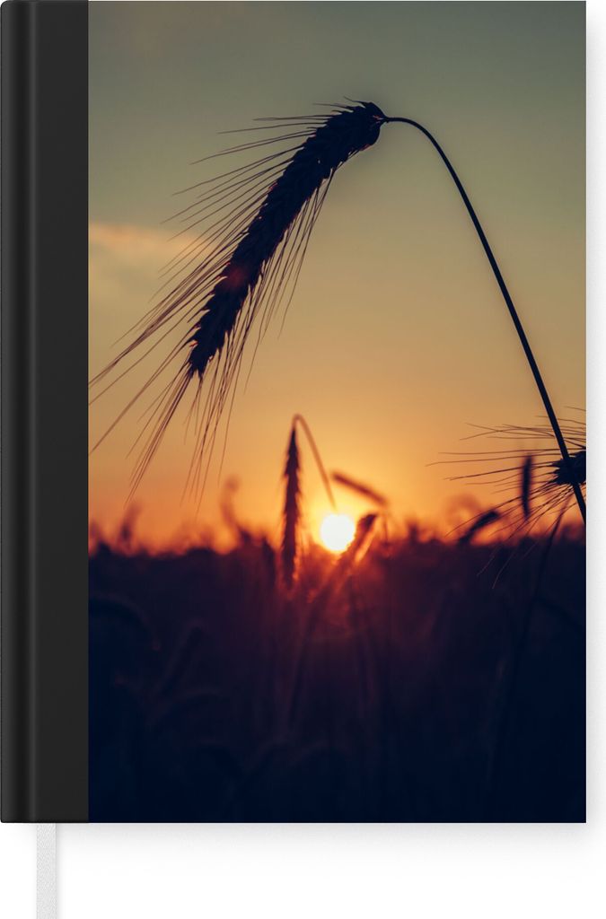 MuchoWow Notizbuch Tagebuch Haushaltsbuch Notebook A5 Gras - Herbst - Sonnenuntergang - Jahreszeiten - Landschaft - Notizblock - Notizheft - Note...