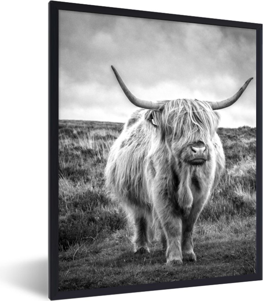 MuchoWow Gerahmtes Poster Schottischer Hochländer - Tiere - Wolken - Kuh - Natur 60x80 cm - Poster mit Schwarzem Bilderrahmen Wandposter Rahmen ...