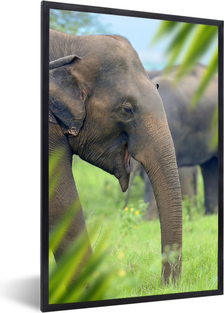 MuchoWow MuchoWow Gerahmtes Poster Elefant - Palme - Tiere 40x60 cm - Poster mit zchwarzem Bilderrahmen - Papierdruck - Wandbilder