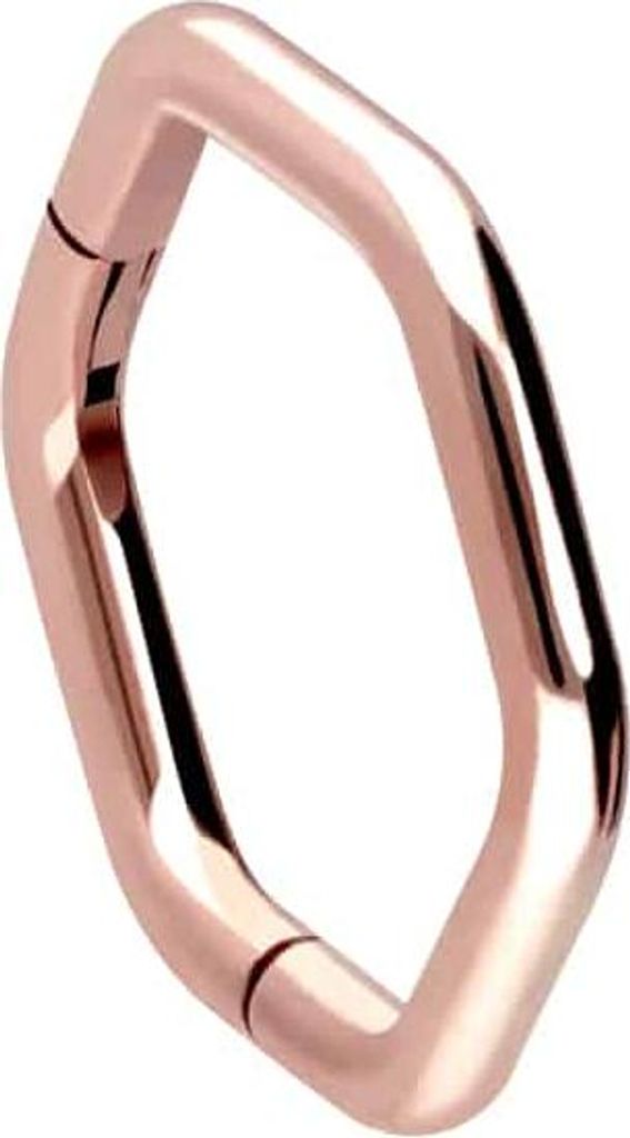 Ohrpiercing, Nasenpiercing, Septum Piercing Titan Clicker SECHSECK