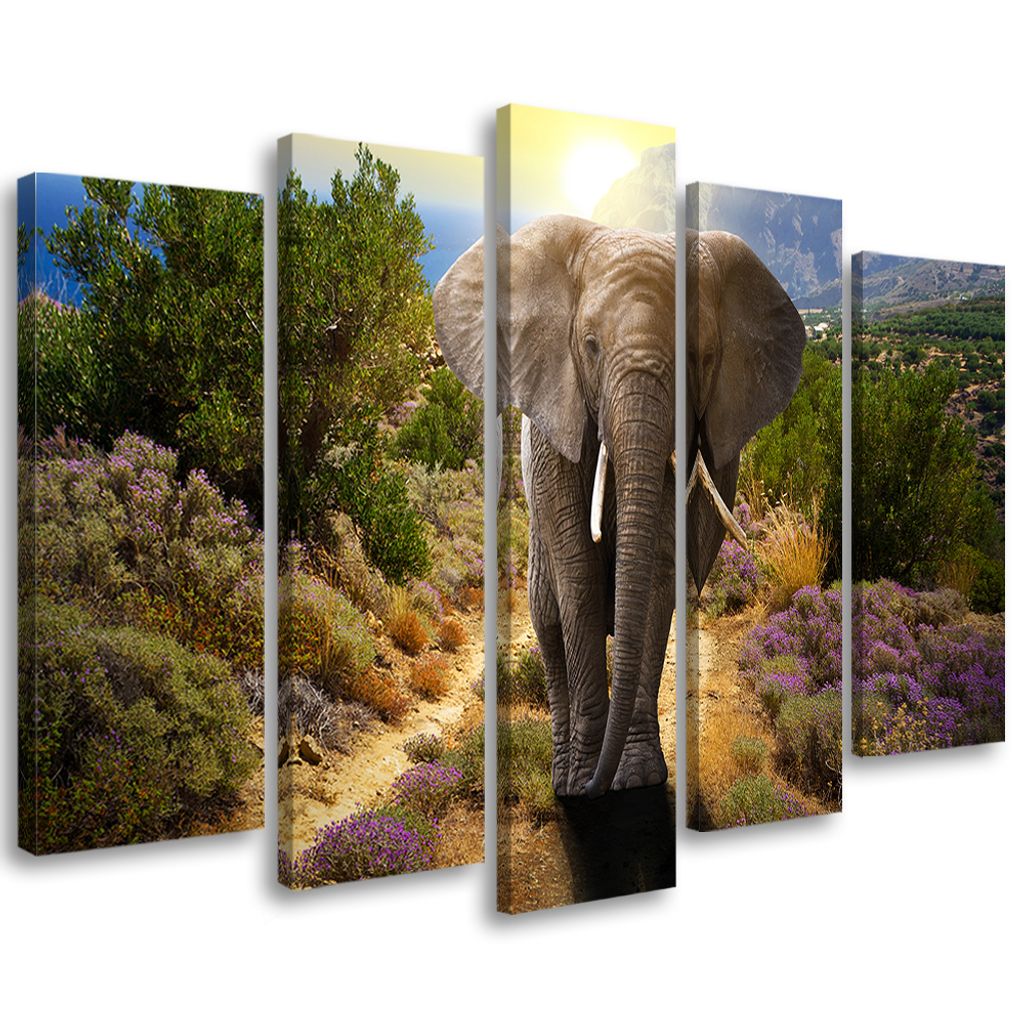 5-teiliges leinwandbild elefanten-safari afrika natur 100x70 cm Feeby farbe wandbild bereit zum aufhängen
