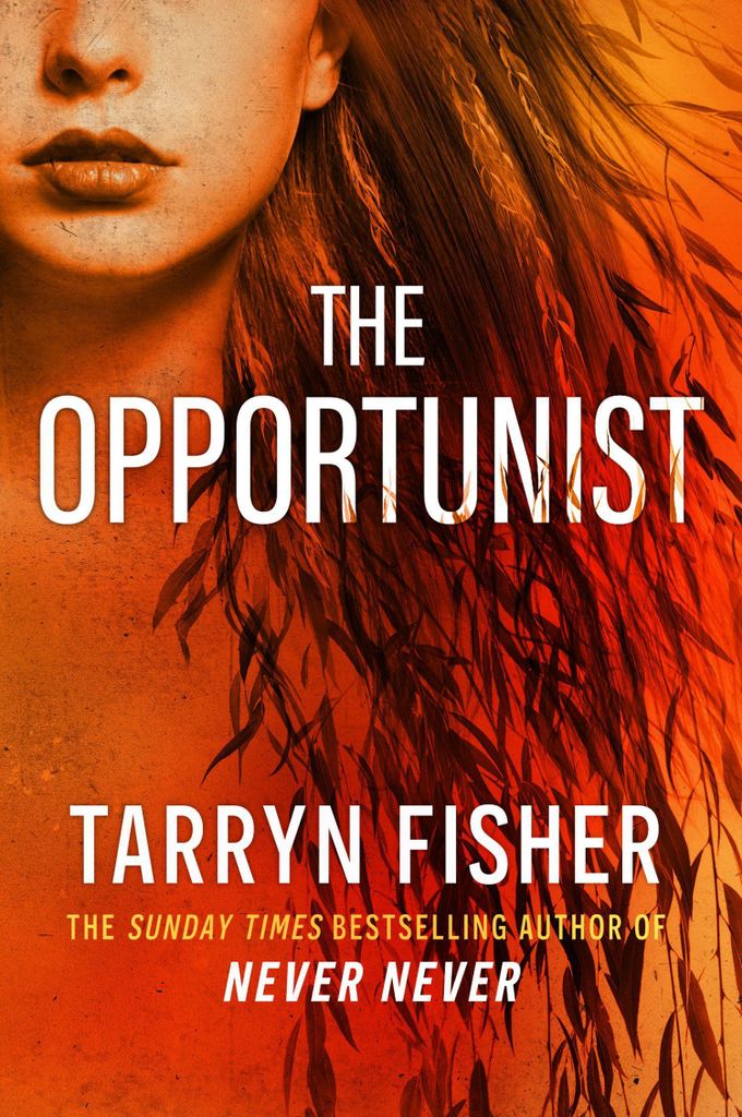 Tarryn Fisher: The Opportunist – Roman, Band 1 der Love Me with Lies-Trilogie