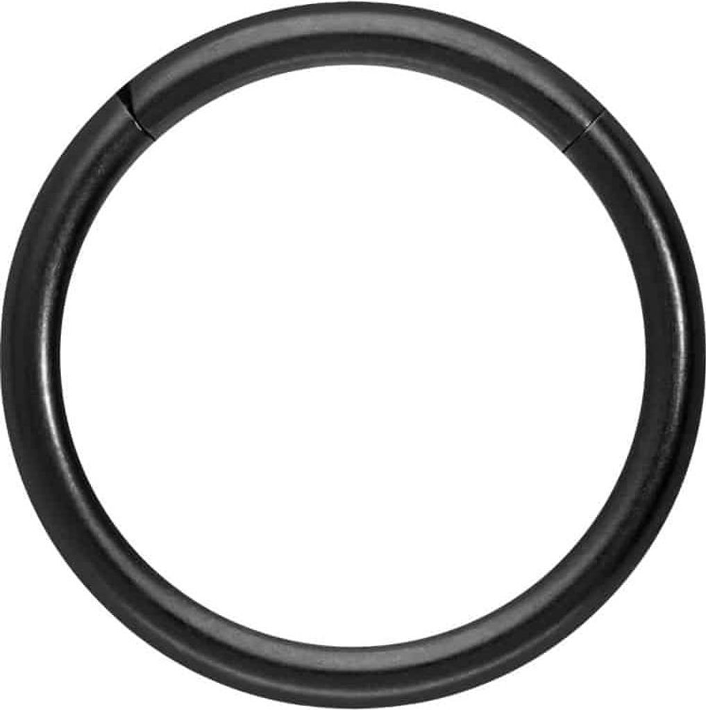 Ohrpiercing, Nasenpiercing, Septum Piercing Titan Segmentring Clicker MATT Schwarz Innendurchmesser: 12mm + Stabstärke: 1,6mm
