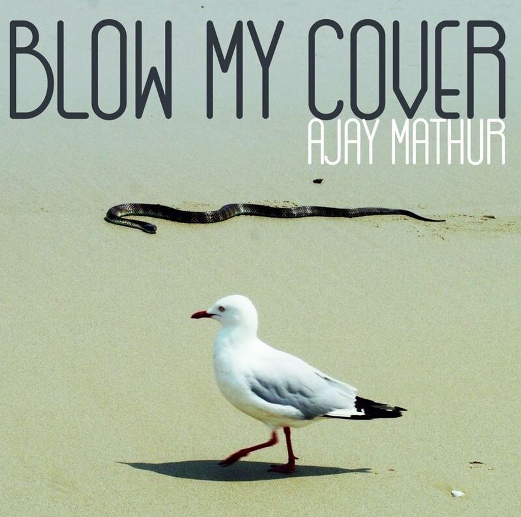 Ajay Mathur: Blow My Cover - jpc Schallplatten - (LP / B)