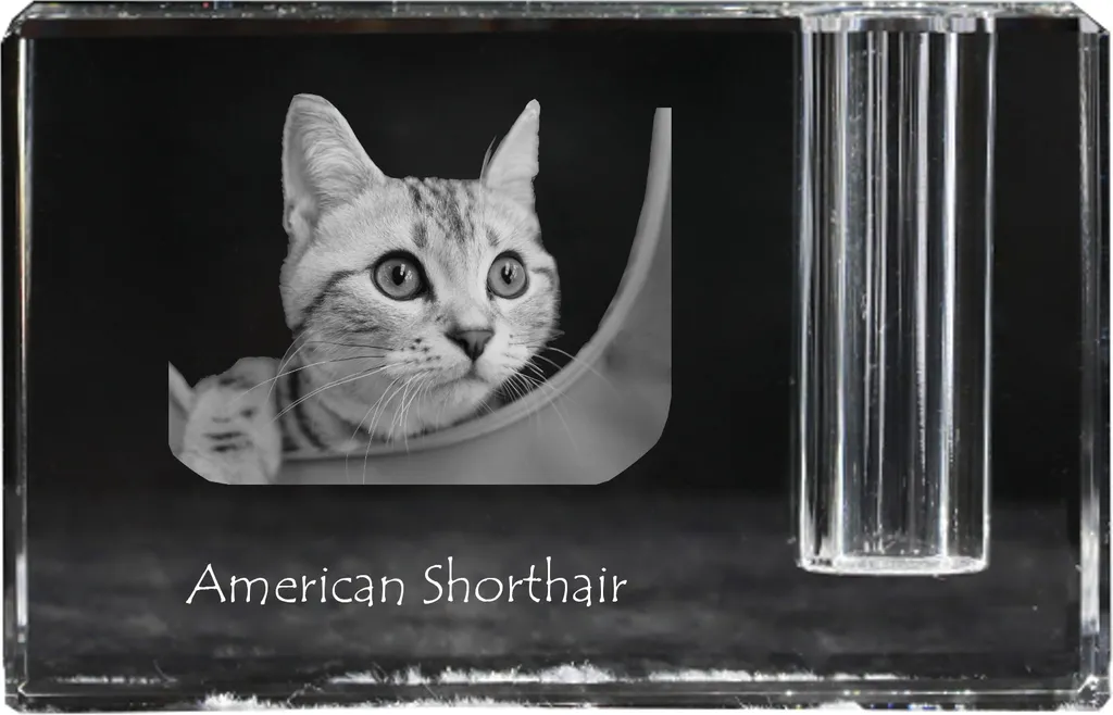 Organizer Scrivania Cristallo Art-Dog: American Shorthair Collection