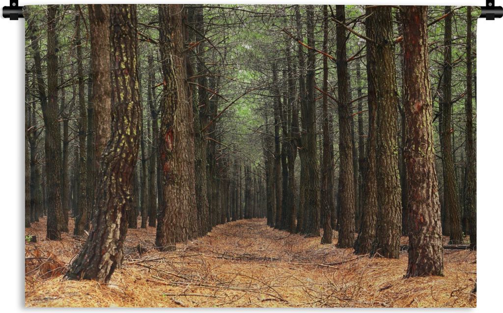 MuchoWow Wandteppich Wandbehang Herbst - Dekoration - Wald 120x80 cm Tapisserie Dekoration Wandtuch - Wanddekorationen - Wandtücher
