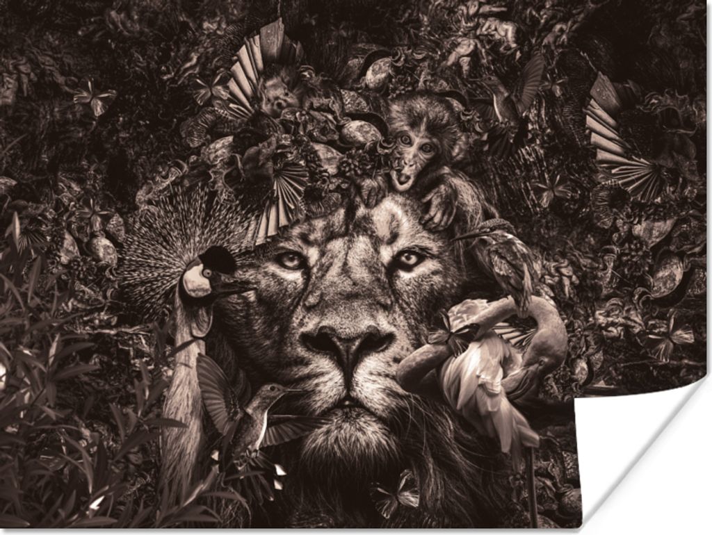MuchoWow Poster Wilde Tiere - Afrika - Schwarz und weiß 160x120 cm - Foto Plakat