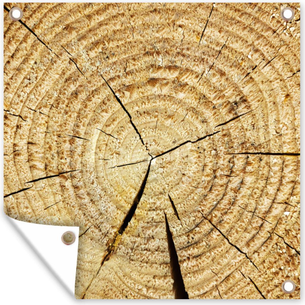 MuchoWow 100x100 cm Outdoor-Poster Gartendeko Sichtschutz Garten Poster für den Garten Baum - Jahresring - Baumstumpf